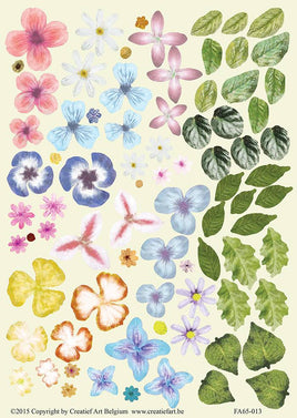 3D - Die Cut - Flowers & Leaves Assorted Colours FA65-013