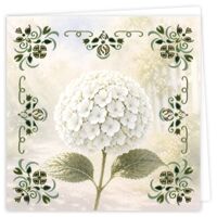 Hobbydots Cards 46 - White Hydrangea