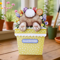 
              Katy Sue - Die Cut Decoupage –Bunny Tails & Flower Pots Card Making Kit
            