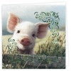 
              Dot and Do Cards 42 - Spring Animals
            