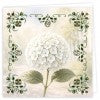 
              Hobbydots Cards 46 - White Hydrangea
            
