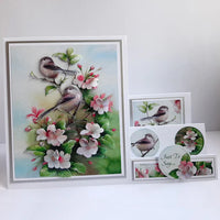 
              Katy Sue - 3D Die- Cut - Birds In Blossom
            