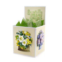 
              Katy Sue - 3D Die-Cut Decoupage - Pots of Flowers
            
