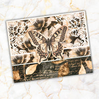 
              Paper Rose - Ink & Ivory 6 x 8" Embossed Die Cuts 36805
            