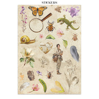 STAMPERIA - Printed Art Junk journal: stickers, cut-outs, backgrounds for Art and Craft - All Around