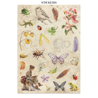 STAMPERIA - Printed Art Junk journal: stickers, cut-outs, backgrounds for Art and Craft - All Around