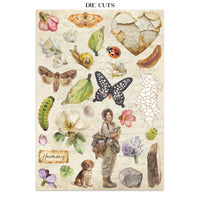 STAMPERIA - Printed Art Junk journal: stickers, cut-outs, backgrounds for Art and Craft - All Around