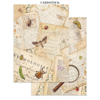STAMPERIA - Printed Art Junk journal: stickers, cut-outs, backgrounds for Art and Craft - All Around