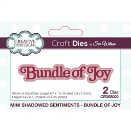 Creative Expressions -  Cutting Dies - Mini Shadowed Sentiments Bundle Of Joy