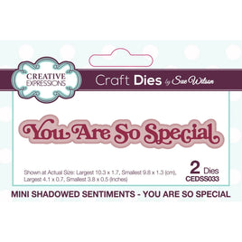 Creative Expressions •Mini Shadowed Craft Die Sentiments You Are So Special