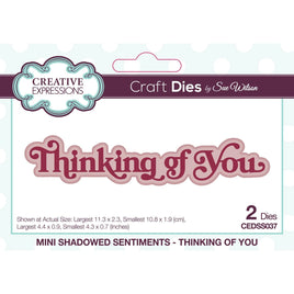Creative Expressions •Mini Shadowed Craft Die Sentiments Thinking of You