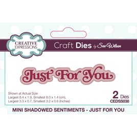 Creative Expressions •Mini Shadowed Craft Die Sentiments Just for You