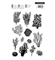 
              ABM - Art by Marlene Clear Stamp - Clear stamp A lot of corals - ABM 25 collection no. 888
            