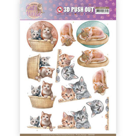 3D Push Out - CAT'S WORLD - Kittens