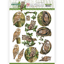 3D Push Out - Amazing Owls - Forest Owls