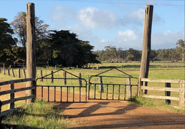 Background Scene - Farm Gate - A5