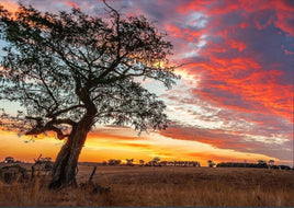 Background Scene -  Sunset Sky - A5