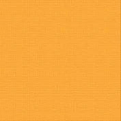 
              12"x12" Smooth Solid Coloured Cardstock - Pkt 20 sheets - Available in many colours
            