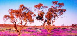 Background Scene Slimline - Pink Grass